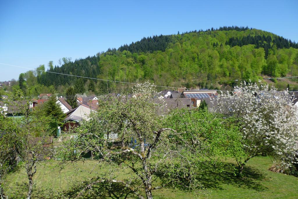 Schwarzwald Domizil Uhlsberg Apartment Kippenheim Room photo